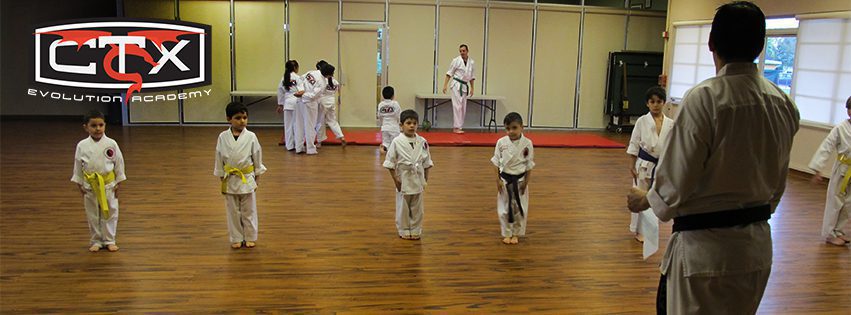 What makes a good coach/sensei?